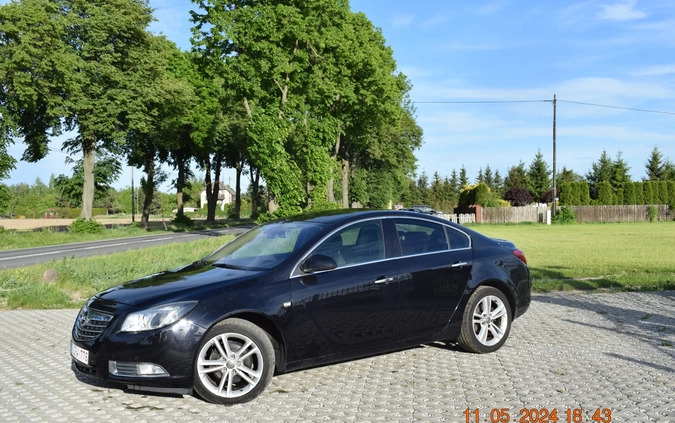 Opel Insignia cena 19999 przebieg: 240000, rok produkcji 2009 z Płock małe 106